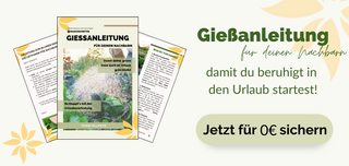 Freebie Giessanleitung Urlaub Blumen giessen