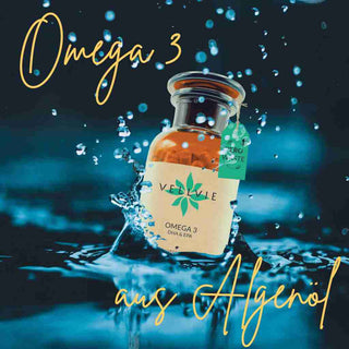 Vellvie Veganes Omega 3 Algenoel DHA EPA Vitamin C Markenrohstoff   bestes Omega 3 nachhaltig Vegan Plastikfrei 180 Kapseln  Glas umweltfreundlich